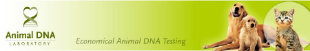 Banner Animal DNA